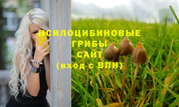 ALPHA PVP Алексеевка