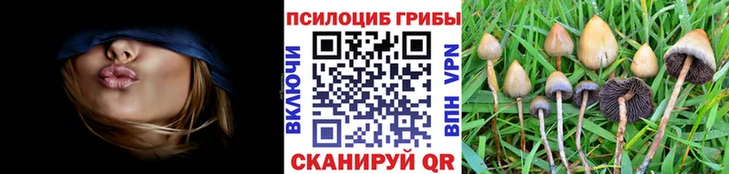 kraken как войти  Апрелевка  Псилоцибиновые грибы GOLDEN TEACHER  купить  цена 